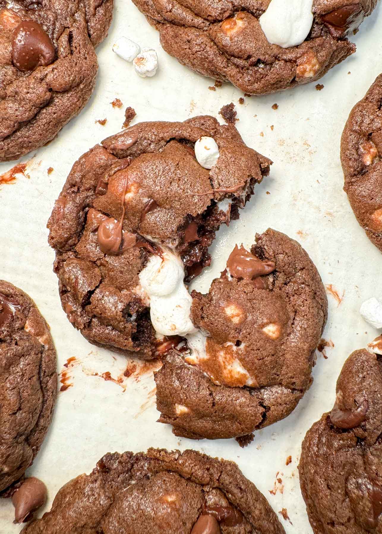 Hot Chocolate Cookies
