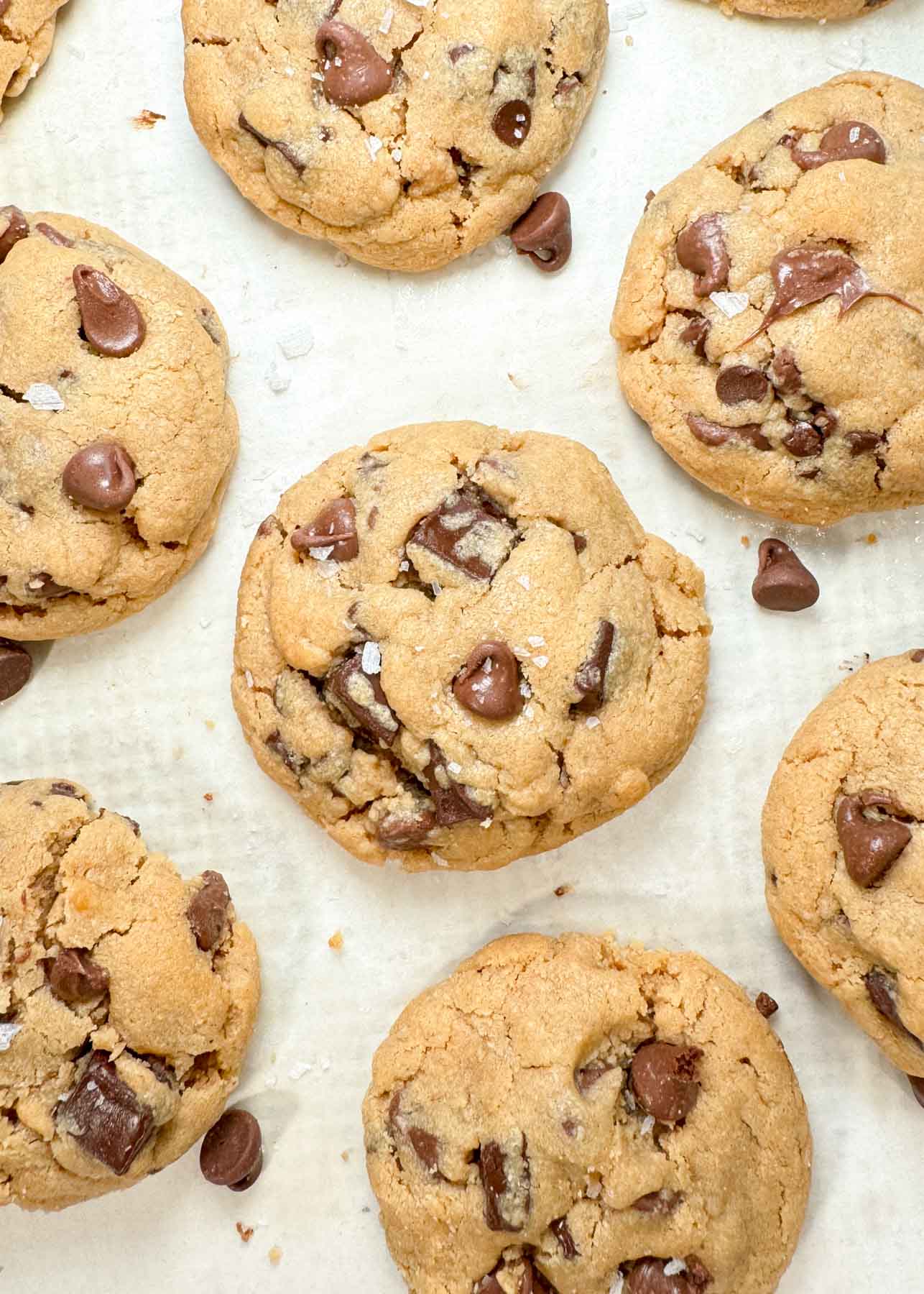 Peanut Butter Chocolate Chip Cookies