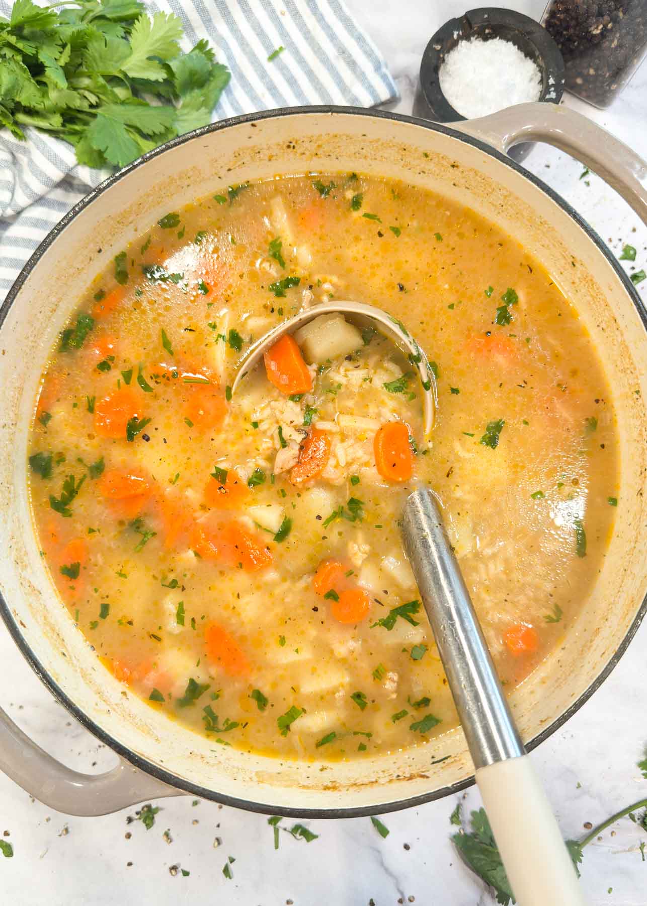 Easy Chicken and Rice Soup
