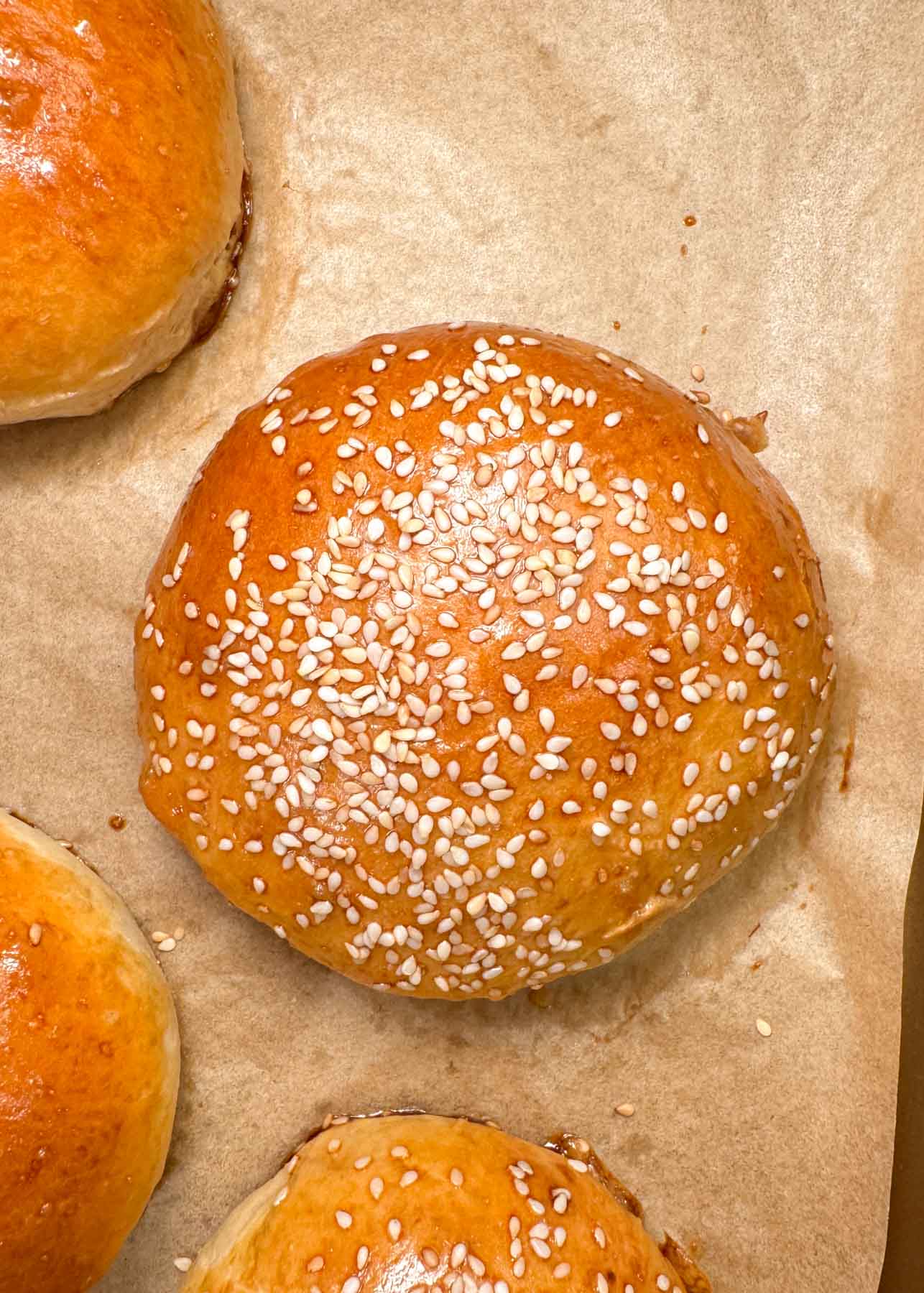Homemade Burger Buns Recipe
